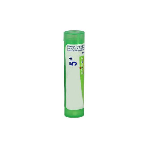 Boiron Spongia tosta, 5CH, granulki, 4 g Boiron Spongia tosta, 5CH, granulki, 4 g - zdjęcie produktu