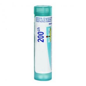 Boiron Thuya occidentalis, 200CH, granulki, 4g - zdjęcie produktu