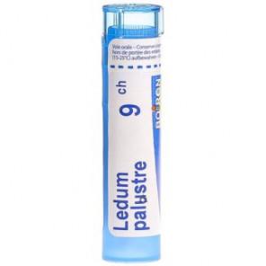 Boiron Ledum palustre, 9 CH, granulki, 4 g - zdjęcie produktu
