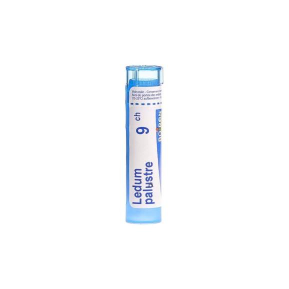 Boiron Ledum palustre, 9 CH, granulki, 4 g - zdjęcie produktu