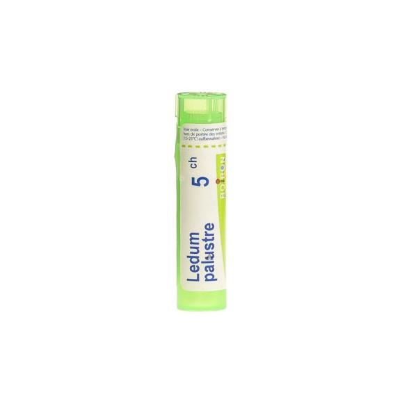 Boiron Ledum palustre, 5CH, granulki, 4 g - zdjęcie produktu