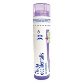 Boiron Thuya occidentalis, 30 CH, granulki, 4 g - zdjęcie produktu