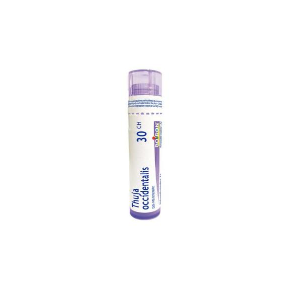 Boiron Thuya occidentalis, 30 CH, granulki, 4 g - zdjęcie produktu