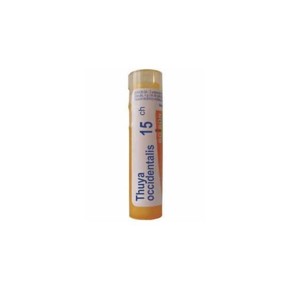 Boiron Thuya occidentalis, 15CH, granulki, 4 g Boiron Thuya occidentalis, 15CH, granulki, 4 g - zdjęcie produktu