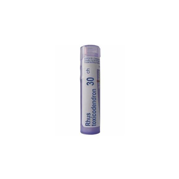 Boiron Rhus-toxicodendron, 30 CH, granulki, 4g - zdjęcie produktu