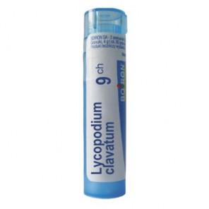 Boiron Lycopodium clavatum, 9CH, granulki, 4g - zdjęcie produktu