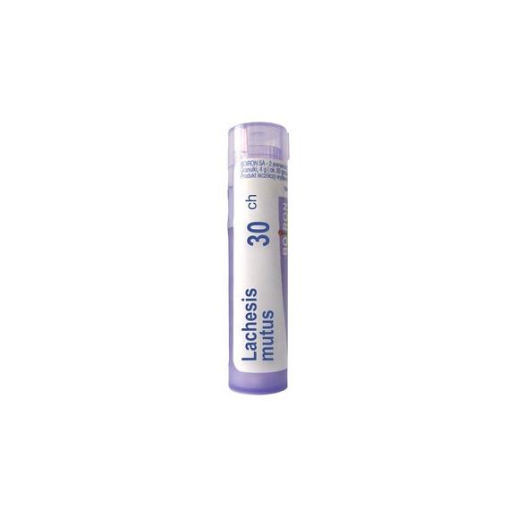 Boiron Lachesis mutus, 30 CH, granulki, 4 g - zdjęcie produktu