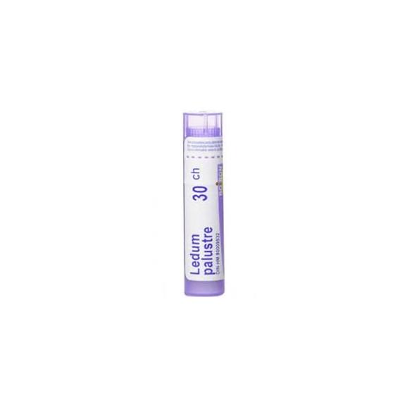 Boiron Ledum palustre, 30 CH, granulki, 4 g - zdjęcie produktu