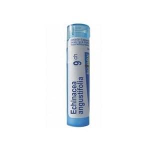 Boiron Echinacea Angustiflora, 9 CH, granulki, 4 g - zdjęcie produktu