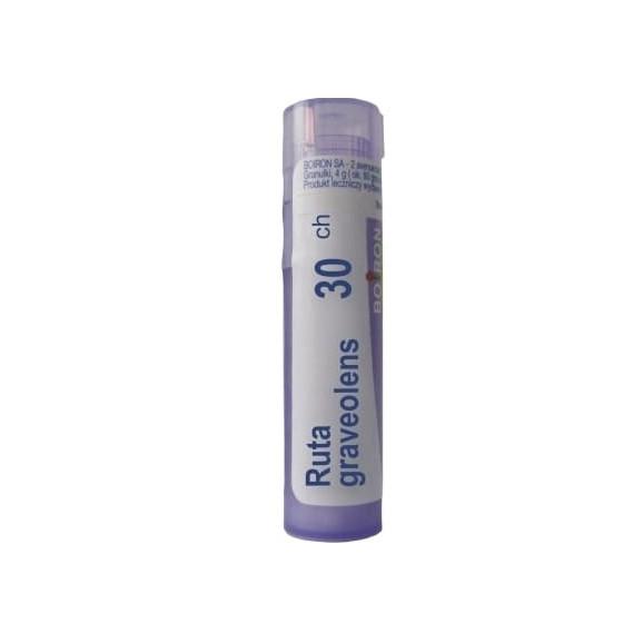 Boiron Ruta Graveolens, 30 CH, granulki, 4 g - zdjęcie produktu