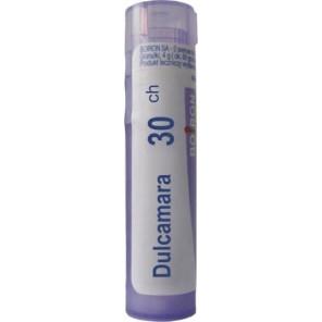 Boiron Dulcamara, 30 CH, granulki, 4 g - zdjęcie produktu