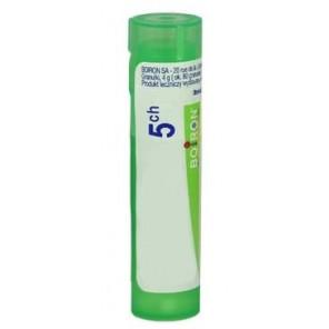 Boiron Berberis Vulgaris, 5 CH, granulki, 4g - zdjęcie produktu
