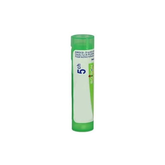 Boiron Berberis Vulgaris, 5 CH, granulki, 4g - zdjęcie produktu