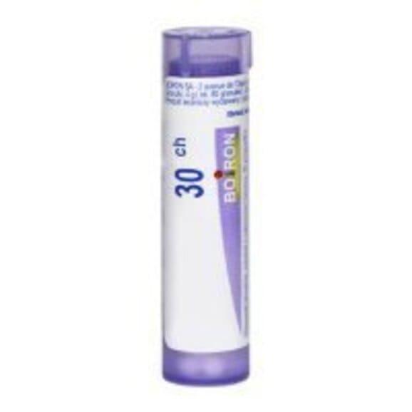 Boiron Sambucus Nigra 30 CH, granulki, 4 g Boiron Sambucus Nigra 30 CH, granulki, 4 g - zdjęcie produktu