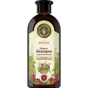 Receptury Zielarki, szampon z pączkami brzozy do włosów cienkich i zniszczonych, 350 ml - zdjęcie produktu