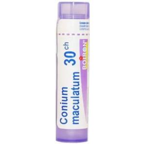 Boiron Conium Maculatum 30 CH, granulki, 4 g - zdjęcie produktu