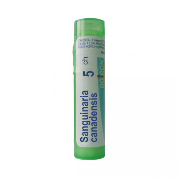 Boiron Sanguinaria Canadensis 5 CH, granulki, 4 g - zdjęcie produktu