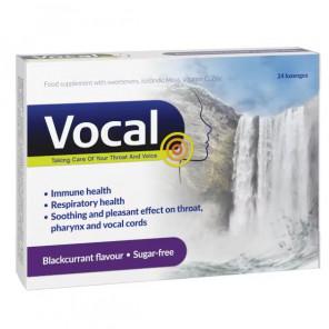 Vocal smak czarna porzeczka, pastylki do ssania miękkie, 24 szt. - zdjęcie produktu
