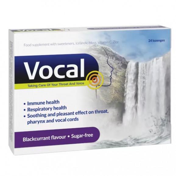 Vocal smak czarna porzeczka, pastylki do ssania miękkie, 24 szt. - zdjęcie produktu
