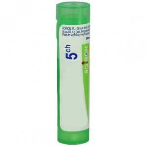 Boiron Arnica Montana, 5 CH, granulki, 4g - zdjęcie produktu