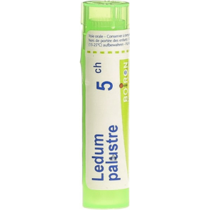 Boiron Ledum palustre, 5CH, granulki, 4 g - zdjęcie produktu