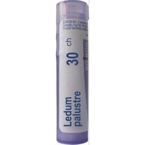Boiron Ledum palustre, 30 CH, granulki, 4 g - zdjęcie produktu