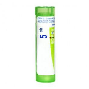 Boiron Ruta graveolens, 5 CH, granulki, 4 g - zdjęcie produktu