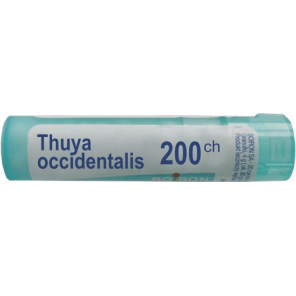 Boiron Thuya occidentalis, 200CH, granulki, 4g - zdjęcie produktu
