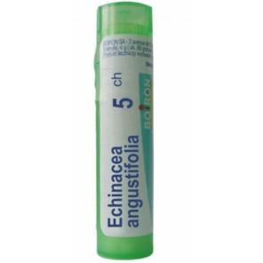 Boiron Echinacea Angustifolia, 5 CH, granulki, 4 g - zdjęcie produktu