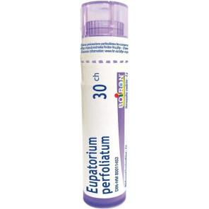 Boiron Eupatorium Perfoliatum, 30 CH, granulki, 4 g - zdjęcie produktu