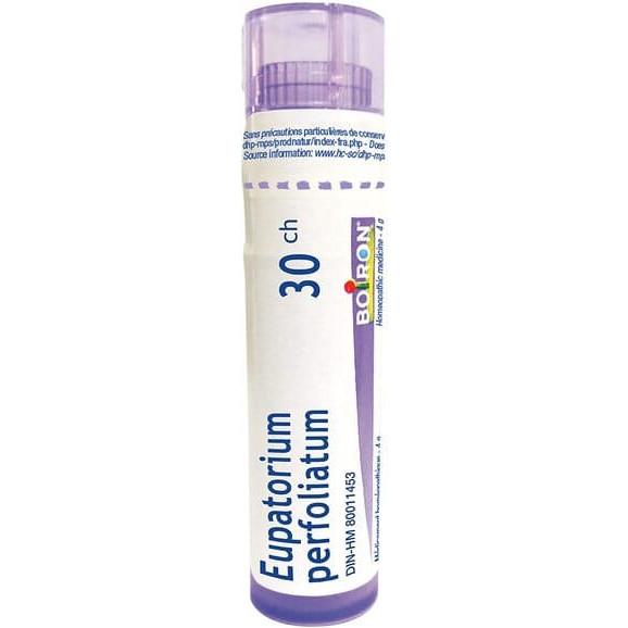 Boiron Eupatorium Perfoliatum, 30 CH, granulki, 4 g Boiron Eupatorium Perfoliatum, 30 CH, granulki, 4 g - zdjęcie produktu