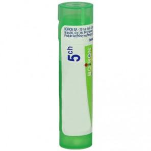 Boiron Apis Mellifica, 5 CH, granulki, 4 g - zdjęcie produktu