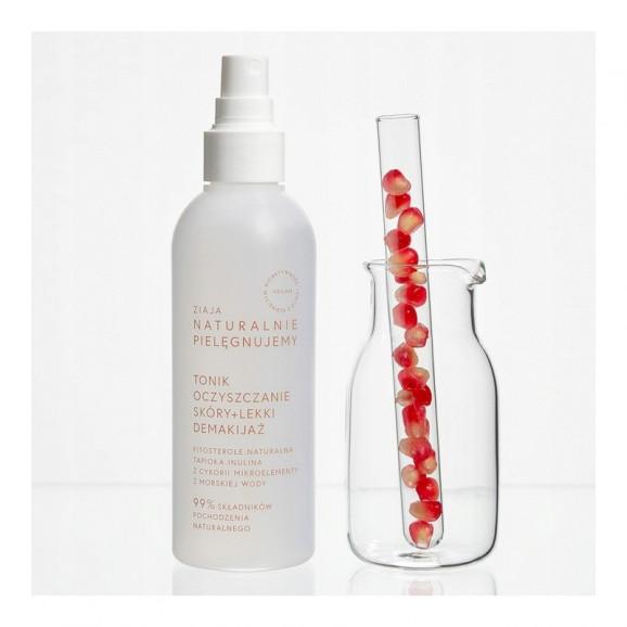 Ziaja Naturalnie Pielęgnujemy, zestaw prezentowy kosmetyków Ziaja Naturalnie Pielęgnujemy, zestaw prezentowy kosmetyków - zdjęcie produktu