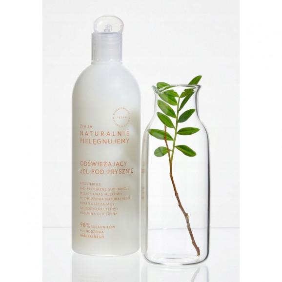 Ziaja Naturalnie Pielęgnujemy, zestaw prezentowy kosmetyków Ziaja Naturalnie Pielęgnujemy, zestaw prezentowy kosmetyków - zdjęcie produktu