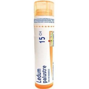 Boiron Ledum Palustre 15 CH, granulki, 4 g - zdjęcie produktu