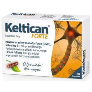Keltican Forte, kapsułki, 20 szt. - zdjęcie produktu