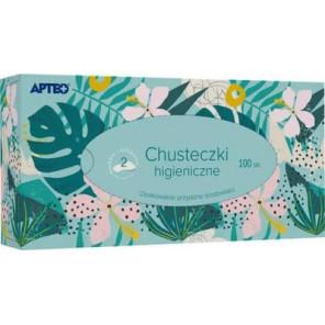Apteo Care, chusteczki higieniczne, 100 szt. - zdjęcie produktu