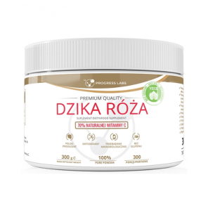 Progress Labs Dzika Róża Witamina C, proszek, 300 g - zdjęcie produktu