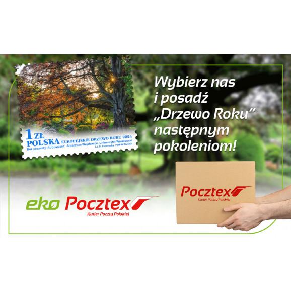 Olej kamforowy roztwór na skórę 10% (10 g) - zdjęcie produktu