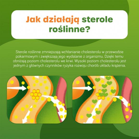 [22.03.2026] Danacol Plus, żel doustny, smak owoców cytrusowych, saszetki, 21 szt. - zdjęcie produktu