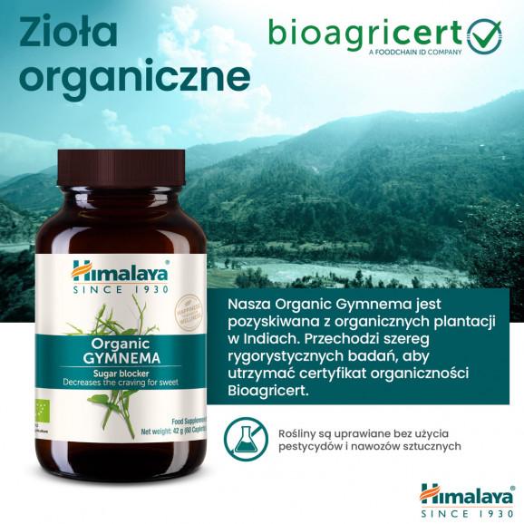 Himalaya Organic Gymnema – wsparcie równowagi cukru we krwi (60 tabletek) - zdjęcie produktu