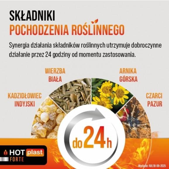 Hot Plast Forte – plaster rozgrzewający (9 x 14 cm) - zdjęcie produktu