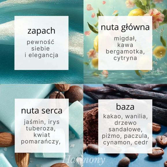 Vianek Essence Harmony Balsam do Ciała (300 ml) Vianek Essence Harmony Balsam do Ciała (300 ml) - zdjęcie produktu