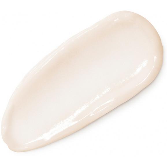 Vichy Neovadiol Kompleks Uzupełniający, odbudowujący, ujędrniający krem na dzień, skóra normalna i mieszana, 50 ml Vichy Neovadiol Kompleks Uzupełniający, odbudowujący, ujędrniający krem na dzień, skóra normalna i mieszana, 50 ml - zdjęcie produktu