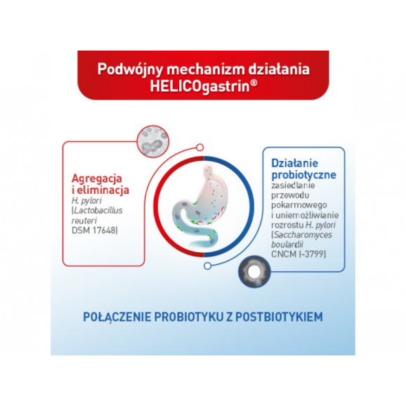 HELICOgastrin, 28 kapsułek twardych – suplement diety HELICOgastrin, 28 kapsułek twardych – suplement diety - zdjęcie produktu