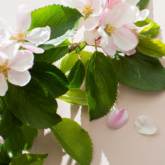 Hair Volume, 90 tabletek – suplement diety Hair Volume, 90 tabletek – suplement diety - zdjęcie produktu