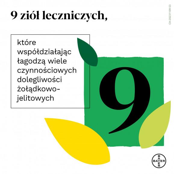 Iberogast, płyn doustny, 50 ml - zdjęcie produktu