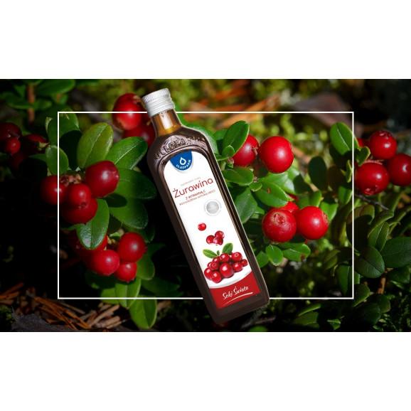 Oleofarm Żurawina – sok z żurawiny z naturalną witaminą C (490 ml) – suplement diety - zdjęcie produktu