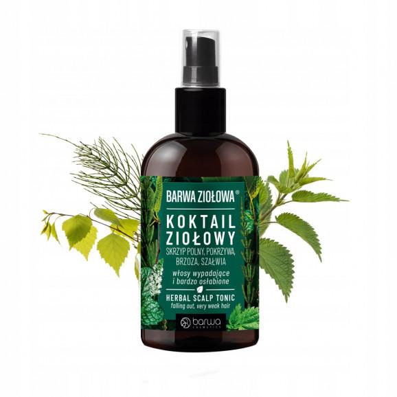Barwa Ziołowa Koktajl Ziołowy do włosów bardzo osłabionych i wypadających (95 ml) Barwa Ziołowa Koktajl Ziołowy do włosów bardzo osłabionych i wypadających (95 ml) - zdjęcie produktu