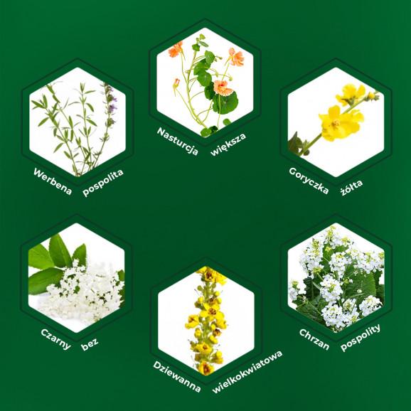 Sinulan Duo Forte Tabletki powlekane - układ oddechowy i odporność 30 szt Sinulan Duo Forte Tabletki powlekane - układ oddechowy i odporność 30 szt - zdjęcie produktu